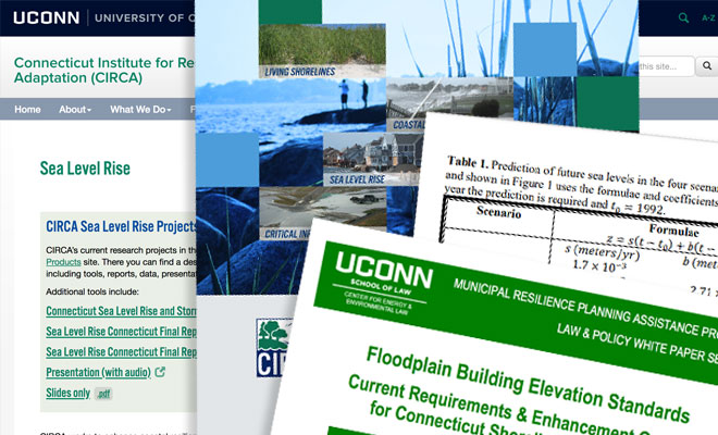 collage of report covers
